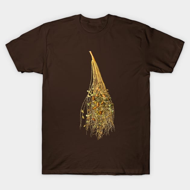 Vintage Botanical Illustration - Normal Spadice of the Palm 096 T-Shirt by Holy Rock Design